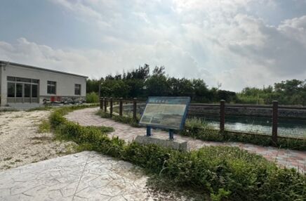 湖西生態公園