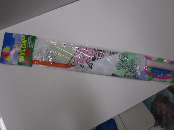 生博館彩繪風箏