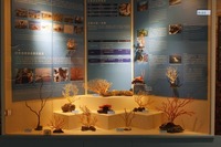 內部展示_1