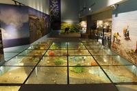 內部展示_2