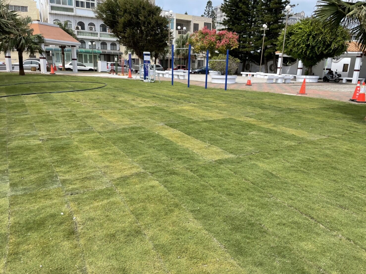 千禧公園青青草園鋪設