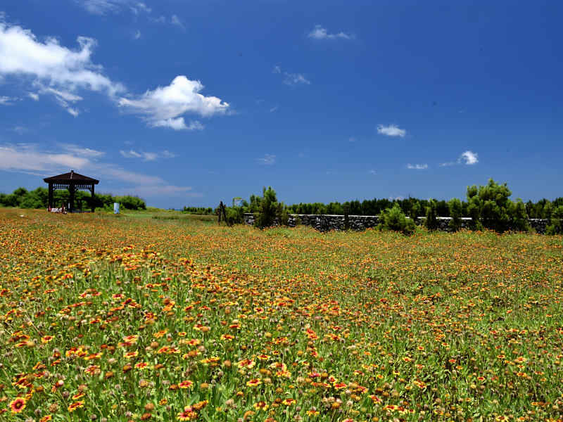 東石環保公園