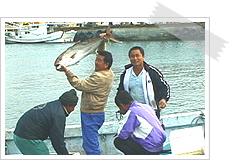 Fishery