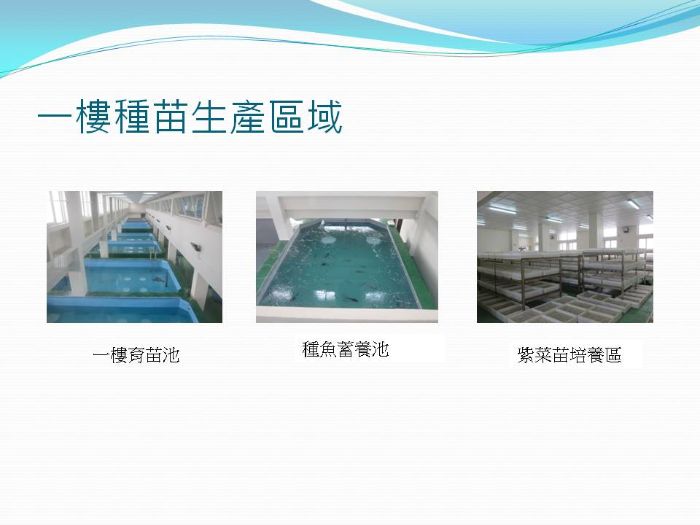 一樓種苗生產區域