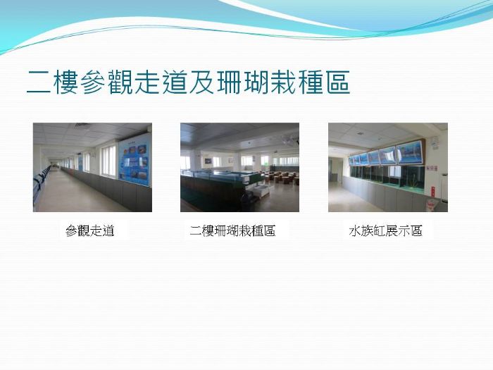 二樓參觀走道及珊瑚栽種區