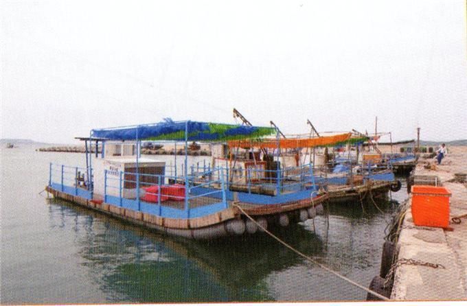馬公市菜園里